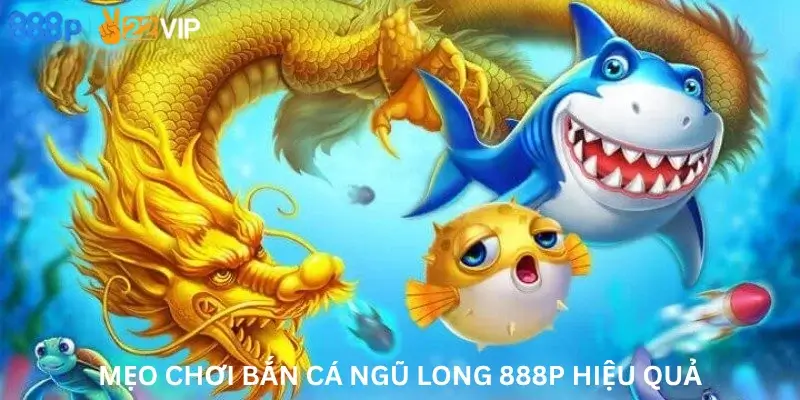 Mẹo chơi Bắn cá ngũ long 888P hiệu quả